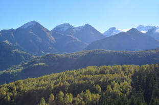 Gelbe Wlder und wunderschne Berge laden zum wandern im Herbst ein.